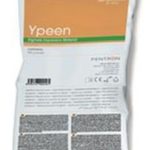 Ypeen