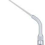 Woodpecker Tip E4 (EMS)