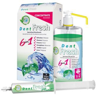 Dent Fresh Mint Start Pack