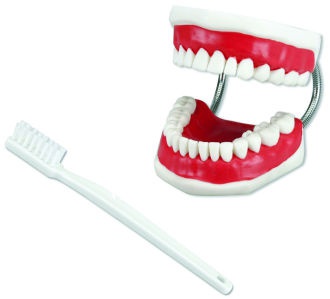 Model čistenia zubov
